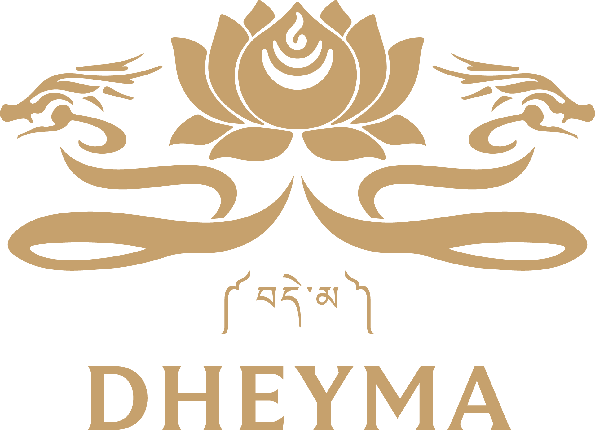 Dheyma Logo